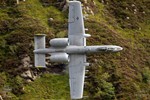 A10-11