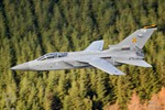 f3-013
