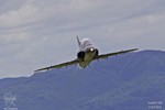 hawkt1-040